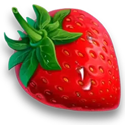 icon 4
