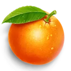 icon 6