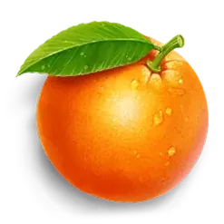 icon 6