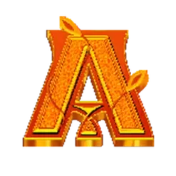 icon 5