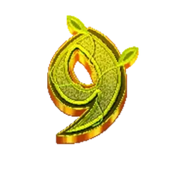 icon 10