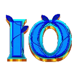 icon 9