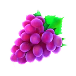 icon 4