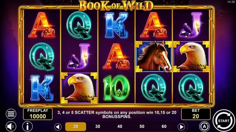 Book of Wild slot screenshot 1