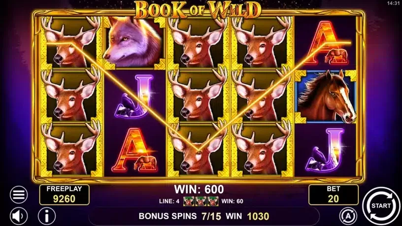 Book of Wild slot screenshot 6