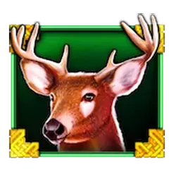 icon 4