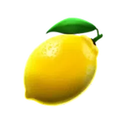 icon 6