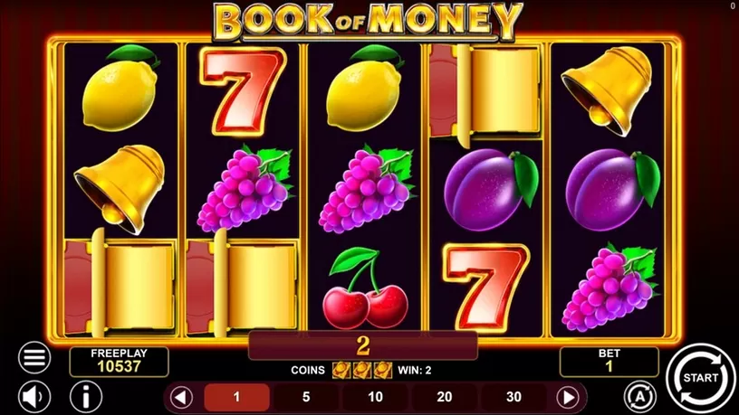 Book Of Money slot screenshot 3