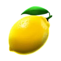 icon 6