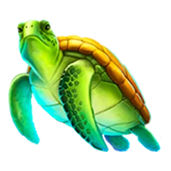 icon 2