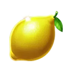 icon 6