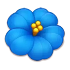 icon 4