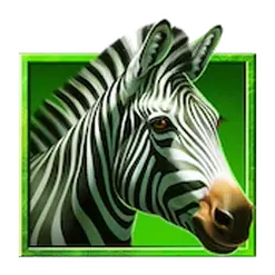 icon 4
