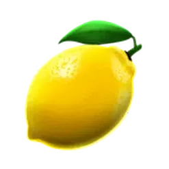 icon 6