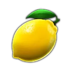 icon 6