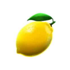 icon 5