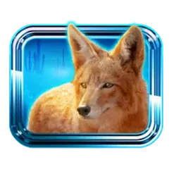 icon 5