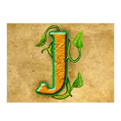 icon 12