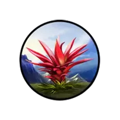 icon 6