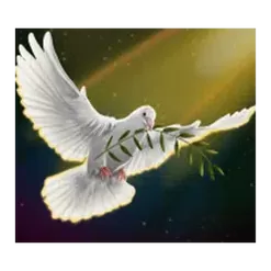 icon 4
