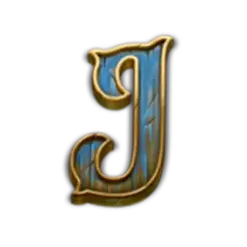 icon 10