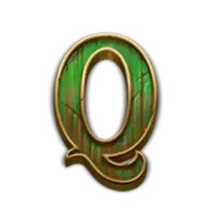 icon 9