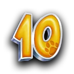 icon 10