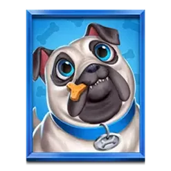 icon 5