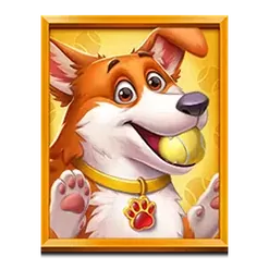 icon 4