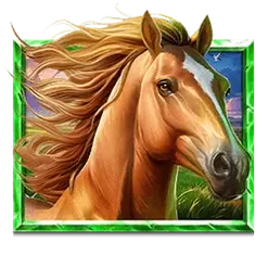 icon 6
