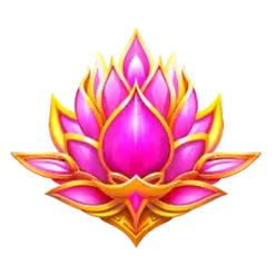 icon 5