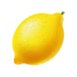 icon 5