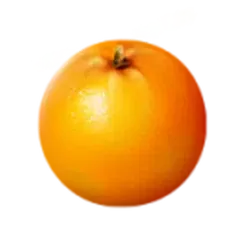 icon 6