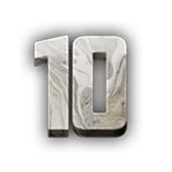 icon 10