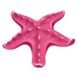 icon 4