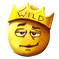 icon 1