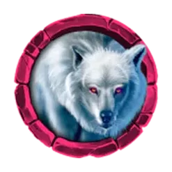 icon 4