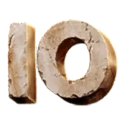 icon 10
