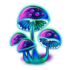 icon 4