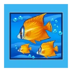 icon 4