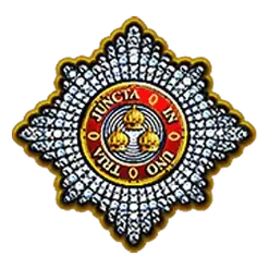 icon 4