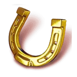 icon 5