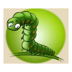 icon 4