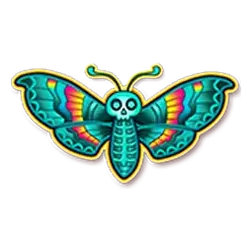 icon 6