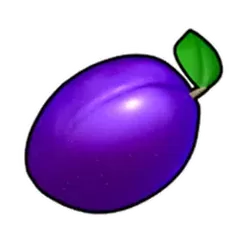 icon 4