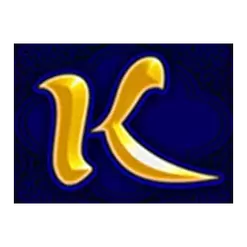 icon 9