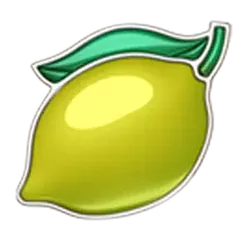 icon 7