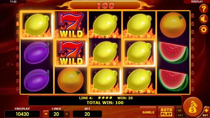 Hot Fruits 20 slot screenshot 5