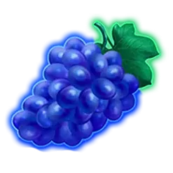 icon 5