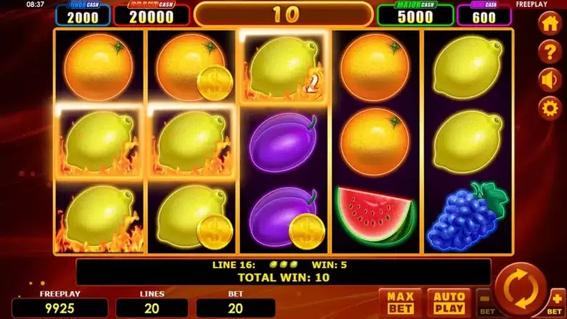 Hot Fruits 20 Cash Spins slot screenshot 5